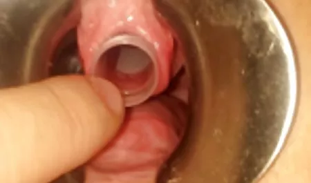 Black Monsterpimmel se preocupó por la pequeña Fickstück