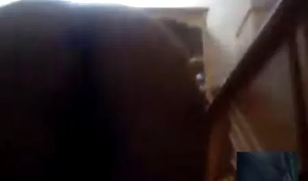 El tierno Fickfüße mi primo afilado
